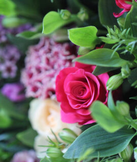 Flowers For Collection