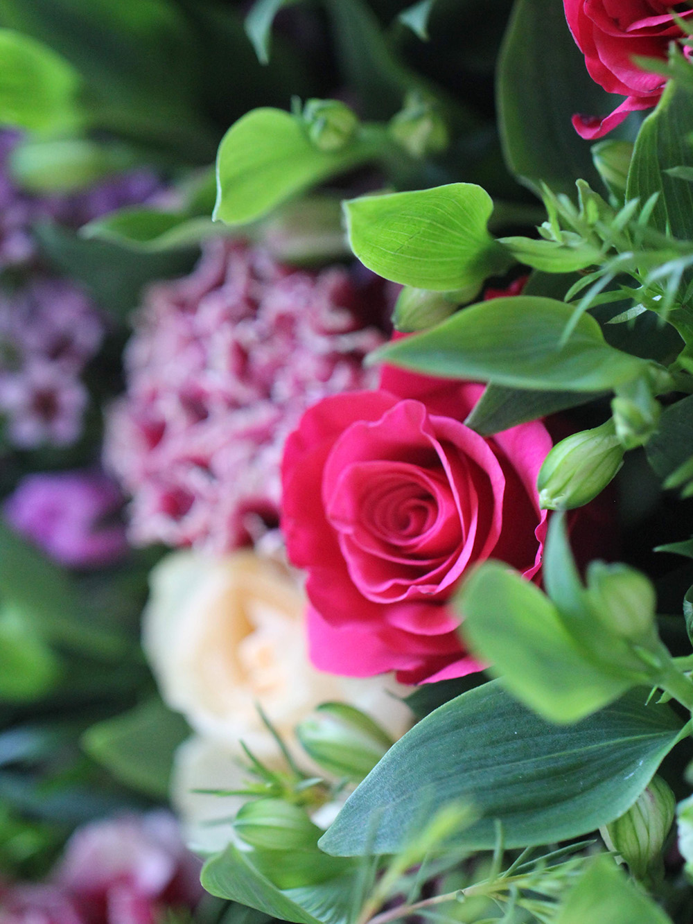 Flowers For Collection